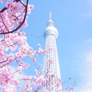 Tokyo